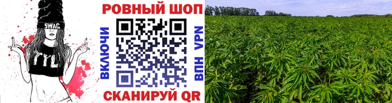 Купить наркотики сайты Великий Новгород Псилоцибиновые грибы  Марихуана  APVP 