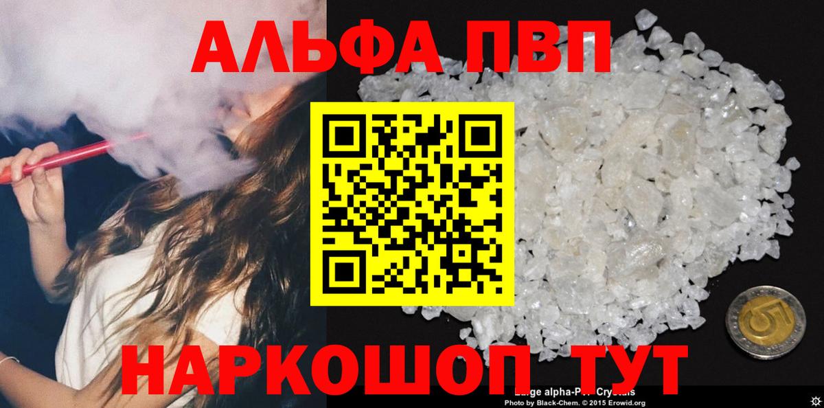 A PVP СК Великий Новгород