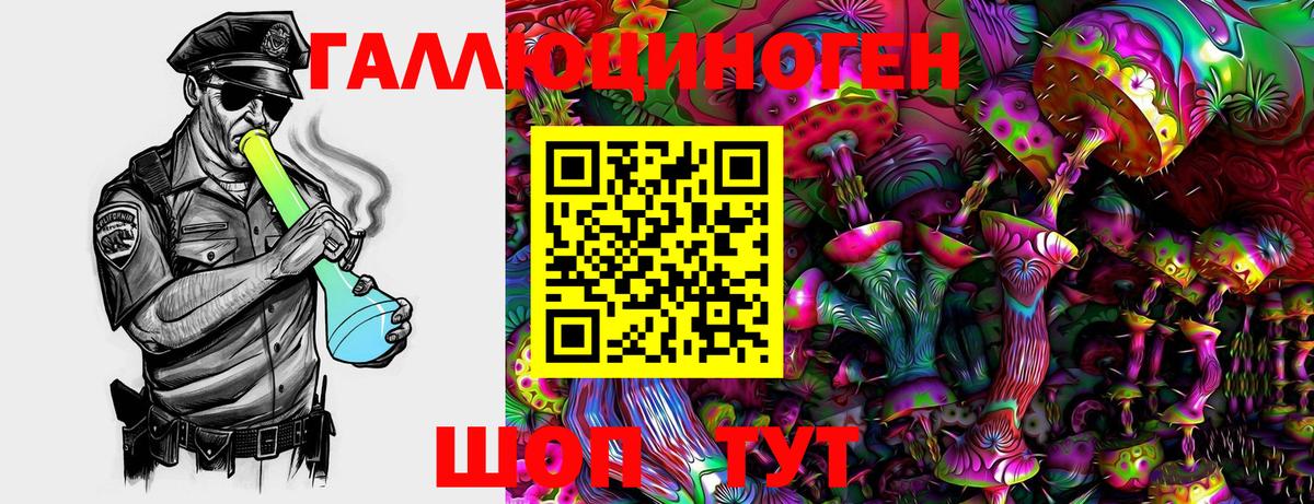 Галлюциногенные грибы мицелий  где продают наркотики  Великий Новгород 