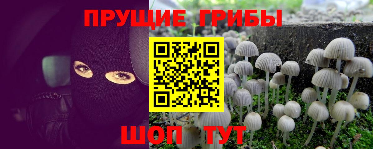 Галлюциногенные грибы прущие грибы  Вход с VPN  Великий Новгород 