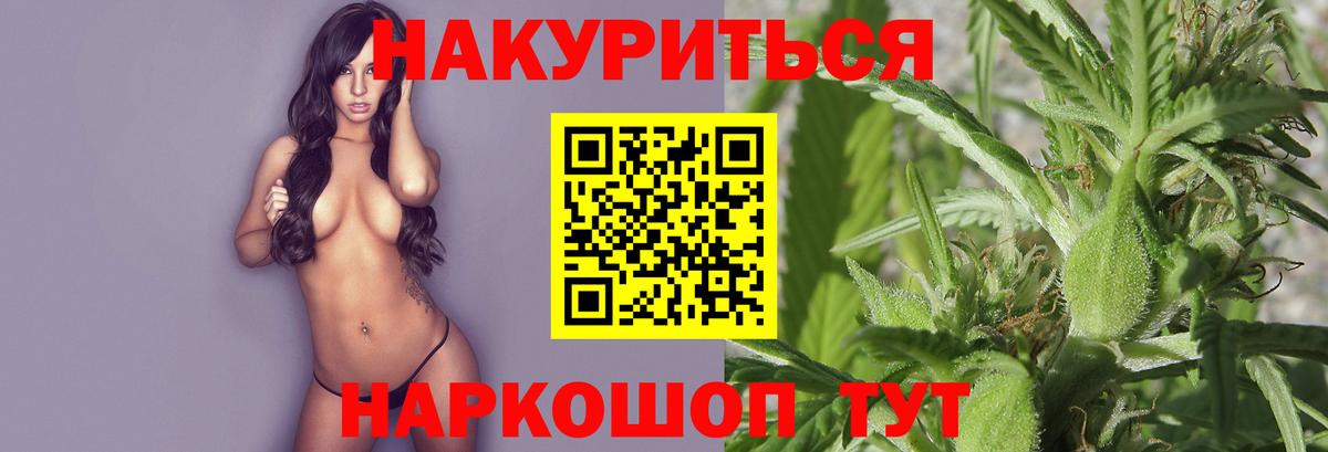Канабис семена  Бошки Шишки марихуана  МАРИХУАНА индика  Великий Новгород  Вход с VPN  МАРИХУАНА OG Kush 