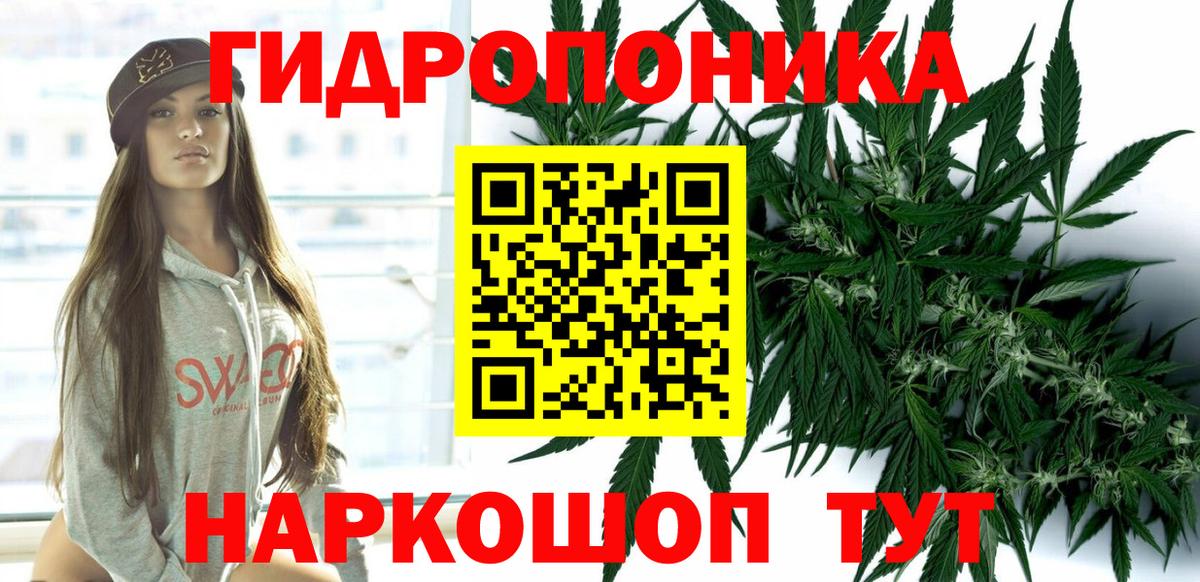 Бошки марихуана конопля  Марихуана тримм  Великий Новгород 